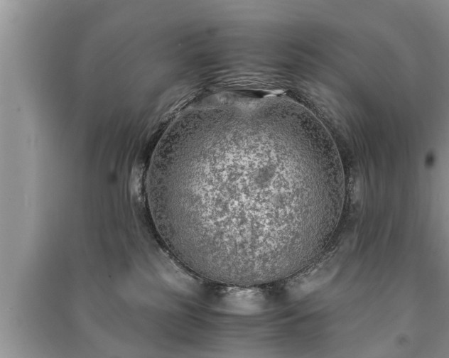 X0000091060185200708131138