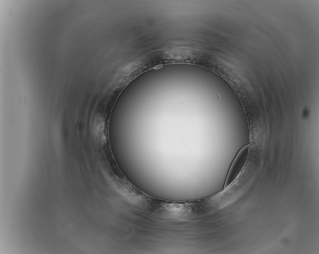 X0000091060187200708131138