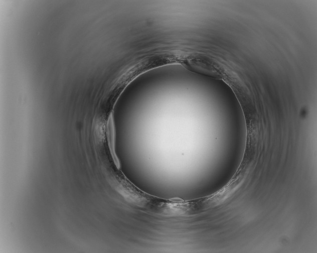 X0000091060188200708131138