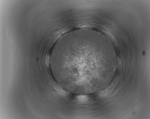 X0000091060189200708131138