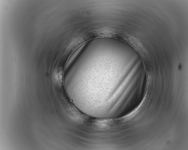 X0000091060190200708131138