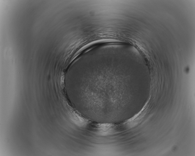 X0000091060192200708131138