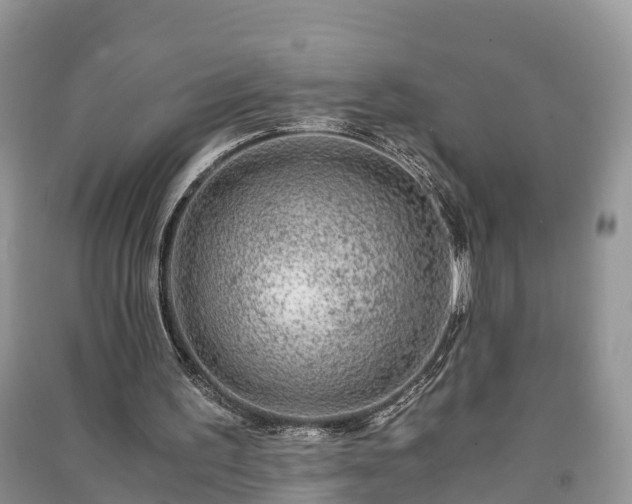 X0000091060195200708131138
