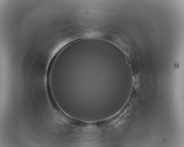 X0000091060196200708131137