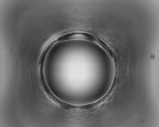 X0000091060197200708131137