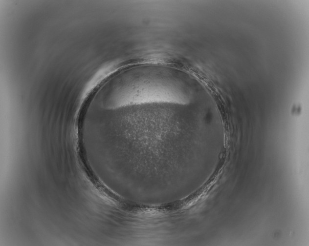 X0000091060198200708131137