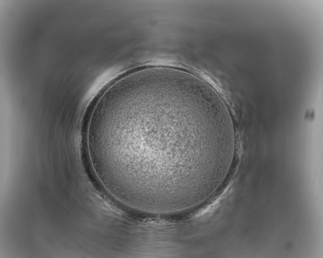 X0000091060199200708131137