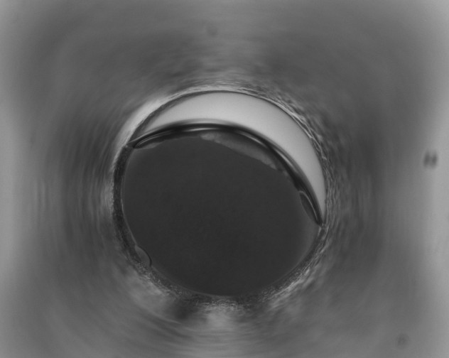X0000091060200200708131137