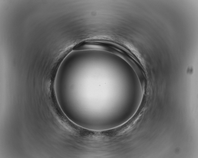 X0000091060201200708131137