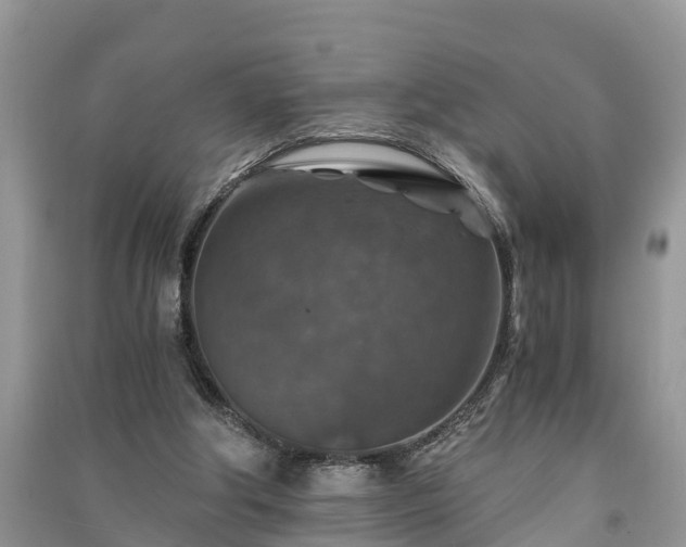 X0000091060202200708131137