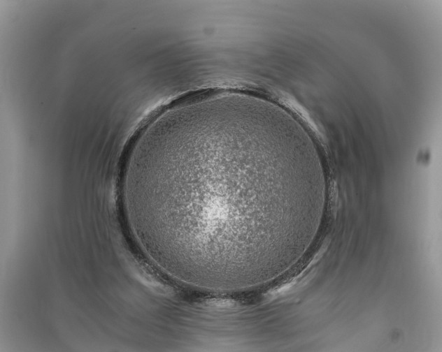 X0000091060203200708131137