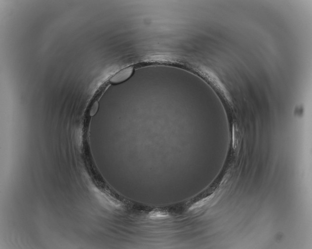 X0000091060204200708131137