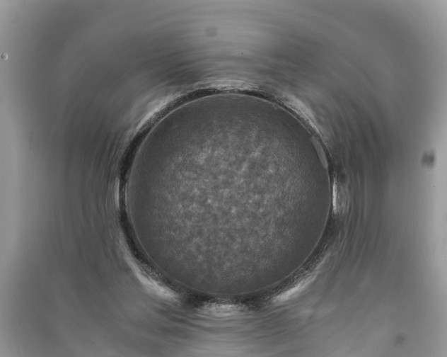 X0000091060205200708131137