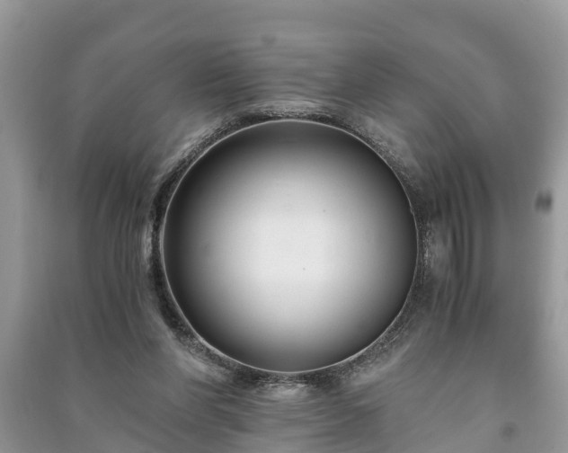 X0000091060206200708131137