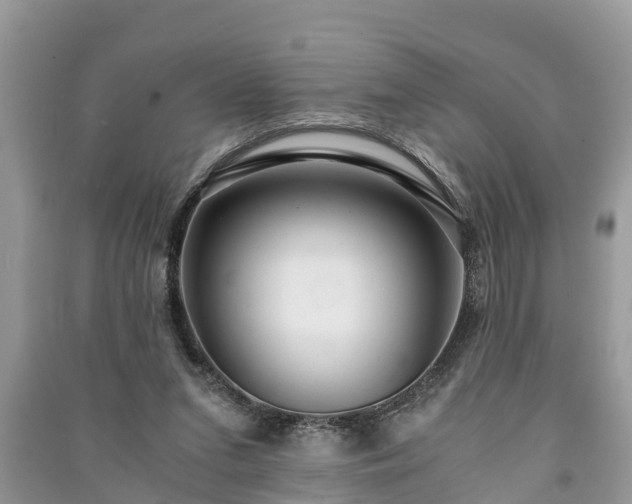 X0000091060207200708131137