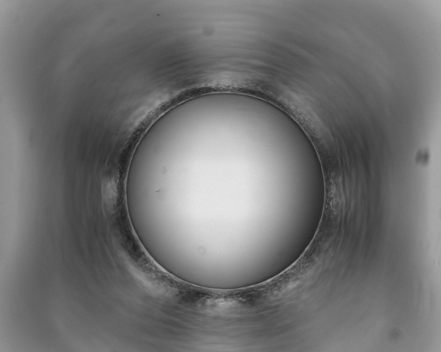 X0000091060208200708131137