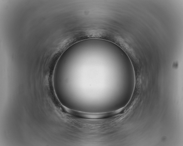 X0000091060209200708131137
