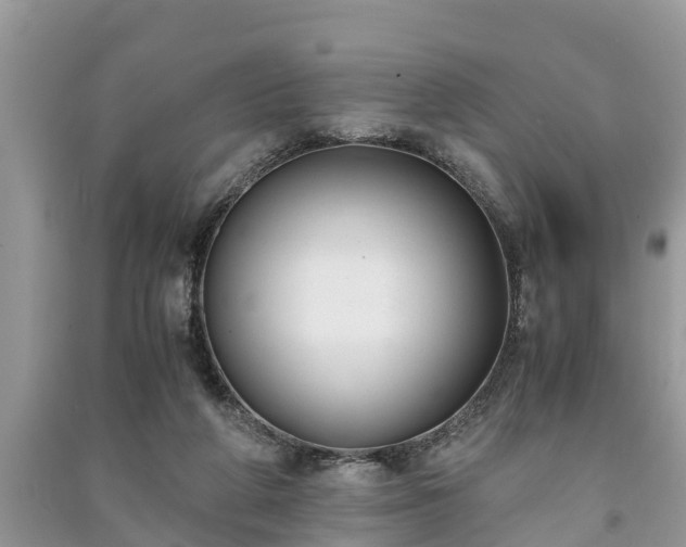 X0000091060210200708131137
