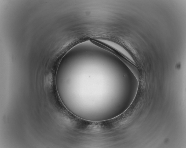 X0000091060211200708131137