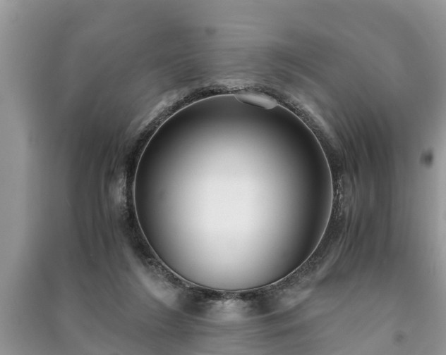 X0000091060212200708131137