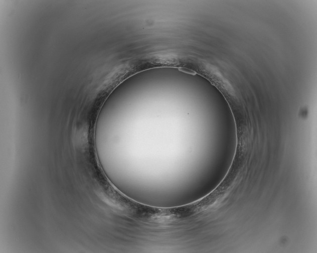 X0000091060213200708131137