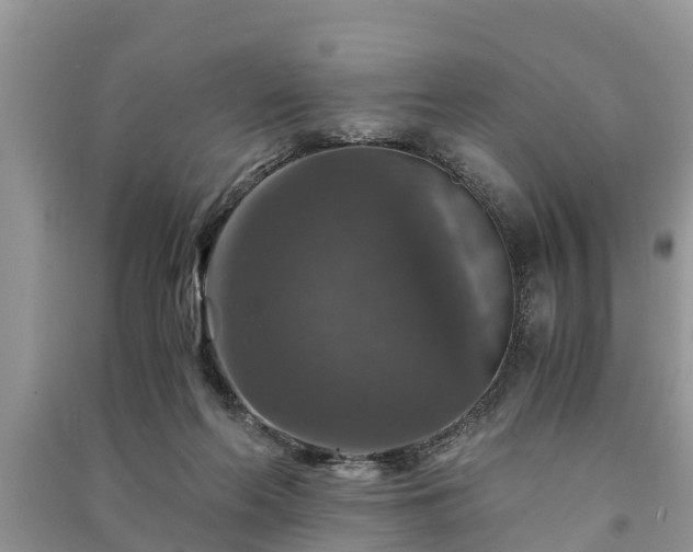 X0000091060214200708131137