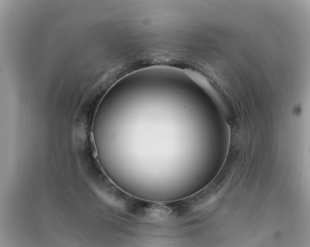 X0000091060215200708131137