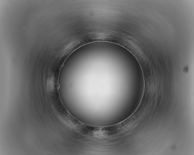 X0000091060216200708131137