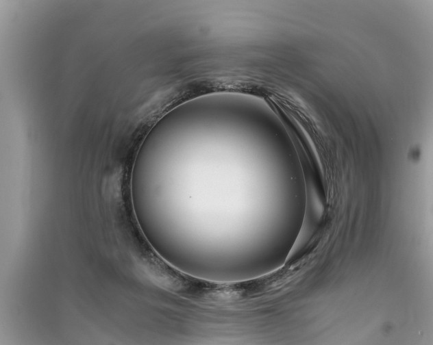 X0000091060217200708131137