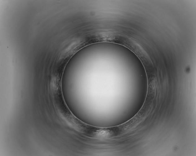 X0000091060218200708131137