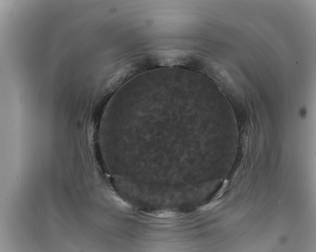 X0000091060219200708131137