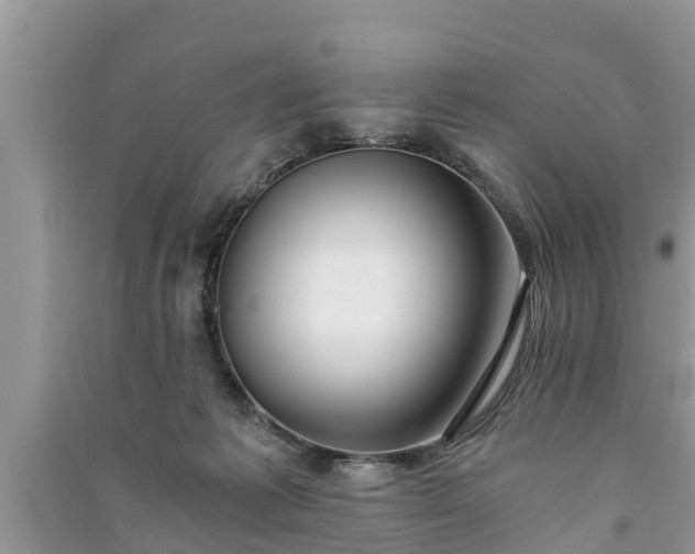X0000091060221200708131137