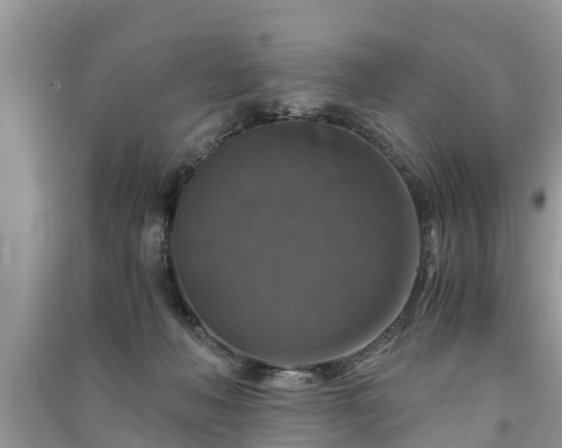 X0000091060222200708131137