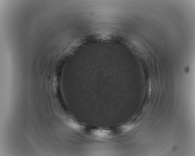 X0000091060223200708131137
