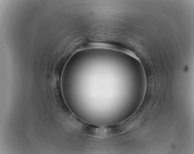 X0000091060225200708131137