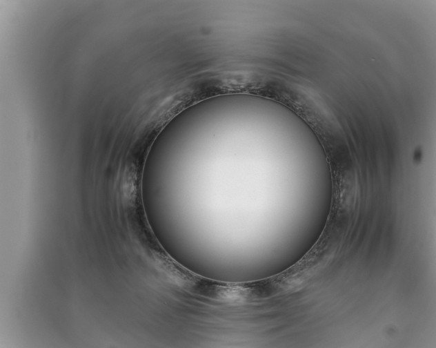 X0000091060226200708131137