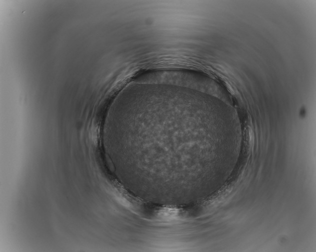 X0000091060227200708131137