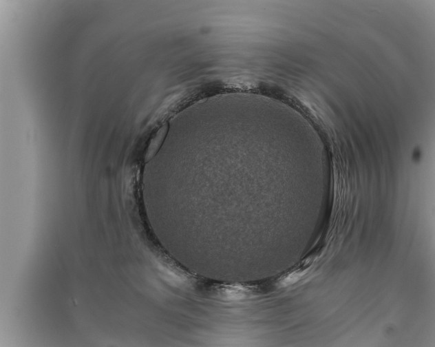 X0000091060229200708131137