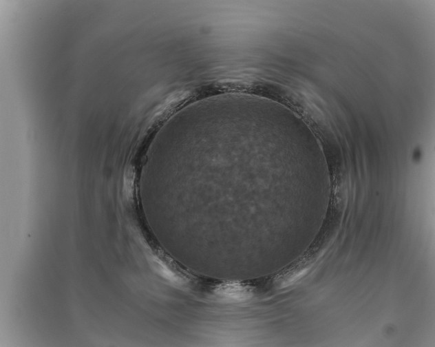 X0000091060231200708131137