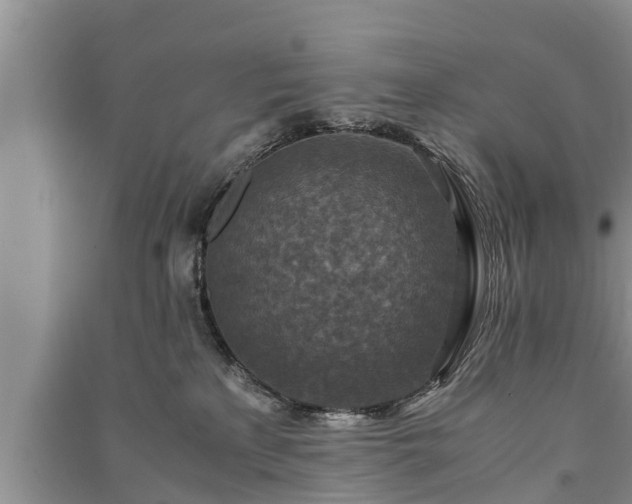 X0000091060233200708131137