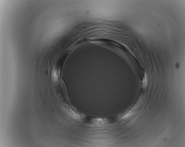 X0000091060239200708131137