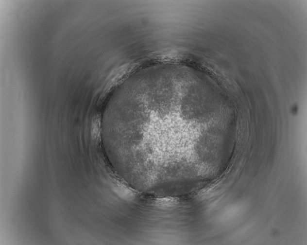 X0000091060240200708131137