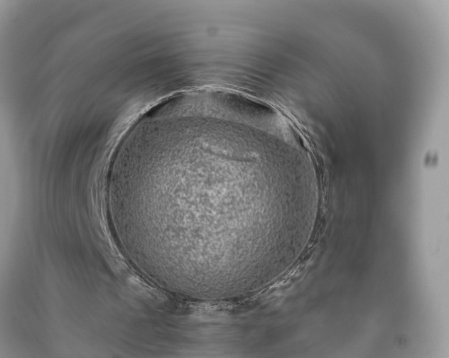 X0000091060241200708131136