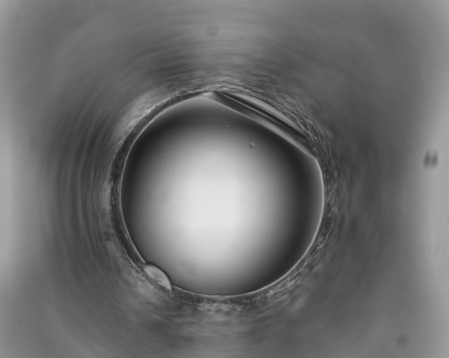 X0000091060242200708131136