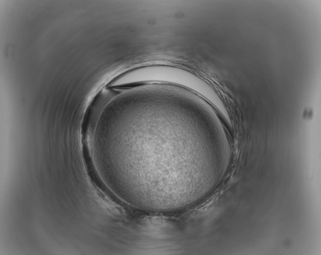 X0000091060244200708131136