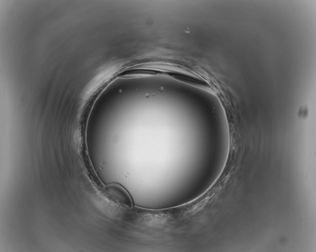 X0000091060245200708131136