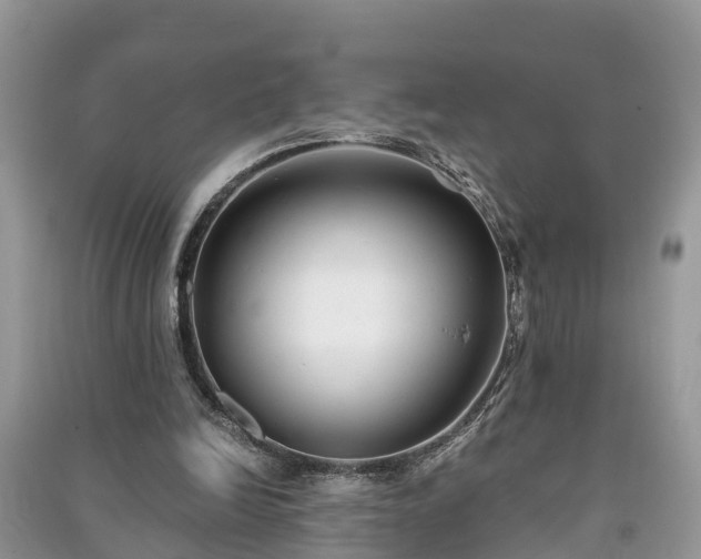 X0000091060246200708131136