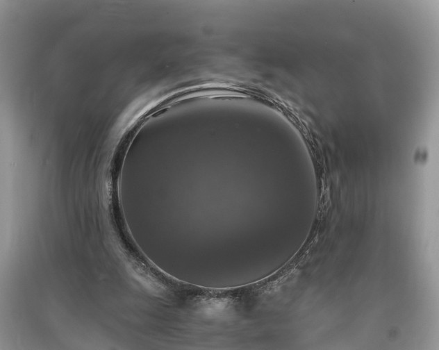 X0000091060247200708131136