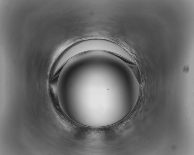X0000091060248200708131136