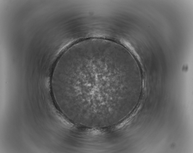 X0000091060249200708131136